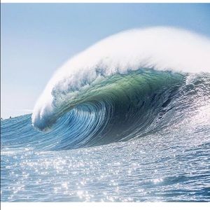 Meet your Posher, Diego